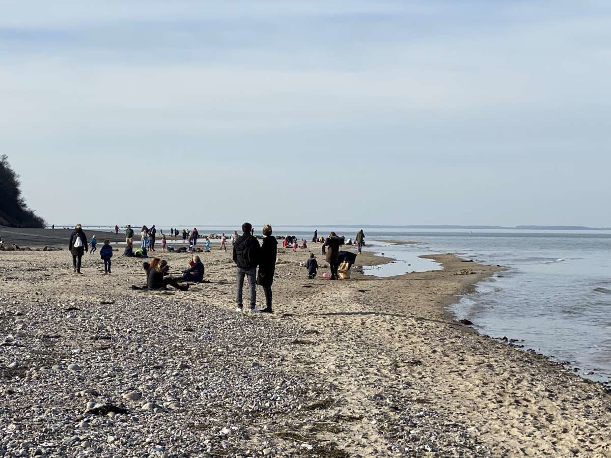 Strand Dänisch-Nienhof Februar 2021